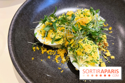 Argile - Oeufs mimosa, poutargue