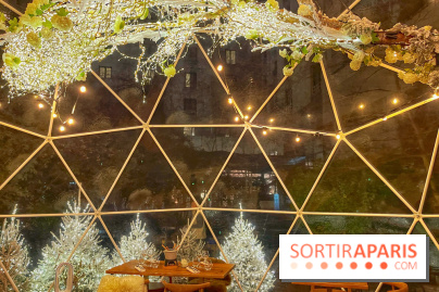 Bulle d'Hiver - Novotel Paris Les Halles - IMG 8584