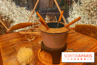 Bulle d'Hiver - Novotel Paris Les Halles - IMG 8588