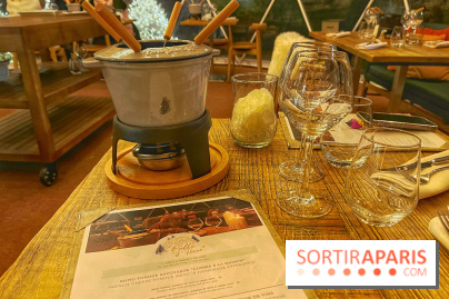 Bulle d'Hiver - Novotel Paris Les Halles - IMG 8596