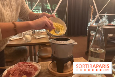 Bulle d'Hiver - Novotel Paris Les Halles - 2E7B8226 C1CF 45FA 954E 546D79EAFB42