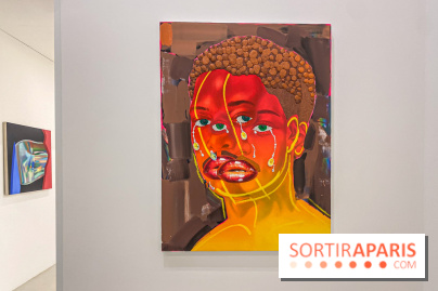 Clear History : l'exposition gratuite d'Oli Epp à la galerie Perrotin - IMG 2697