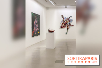 Clear History : l'exposition gratuite d'Oli Epp à la galerie Perrotin - IMG 2707