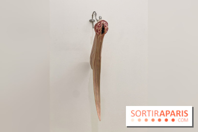 Clear History : l'exposition gratuite d'Oli Epp à la galerie Perrotin - IMG 2709