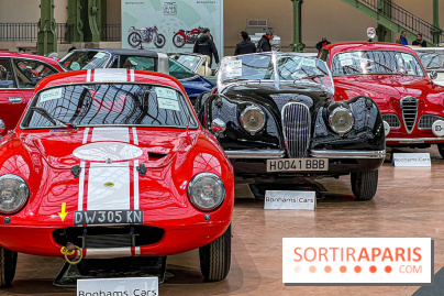 Bonhams I Cars au Grand Palais : exposition de voitures d'exception - IMG 1197 jpg