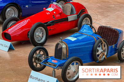 Bonhams I Cars au Grand Palais : exposition de voitures d'exception - IMG 1306 jpg