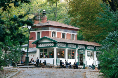 Les terrasses de la Baleine et de Rosa Bonheur                          