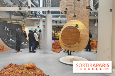 Chaosmos : une expo gratuite qui interroge notre place dans l'univers au Maif Social Club - photos - fotor 1738750262292