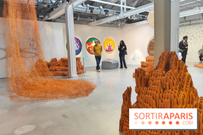 Chaosmos : une expo gratuite qui interroge notre place dans l'univers au Maif Social Club - photos - fotor 1738750122150