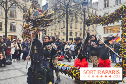 Défilé du Nouvel An Lunaire-Chinois Faubourg Saint-Honoré  - fotor 1738762270959