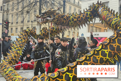 Défilé du Nouvel An Lunaire-Chinois Faubourg Saint-Honoré  - fotor 1738762237324
