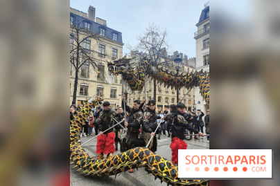 Défilé du Nouvel An Lunaire-Chinois Faubourg Saint-Honoré  - IMG20250205131127