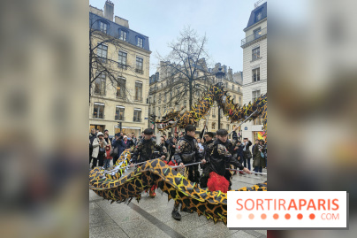 Défilé du Nouvel An Lunaire-Chinois Faubourg Saint-Honoré  - IMG20250205131128