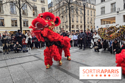Défilé du Nouvel An Lunaire-Chinois Faubourg Saint-Honoré  - IMG20250205130728