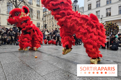 Défilé du Nouvel An Lunaire-Chinois Faubourg Saint-Honoré  - IMG20250205130539