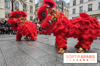 Défilé du Nouvel An Lunaire-Chinois Faubourg Saint-Honoré  - IMG20250205130537