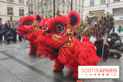Défilé du Nouvel An Lunaire-Chinois Faubourg Saint-Honoré  - IMG20250205130401