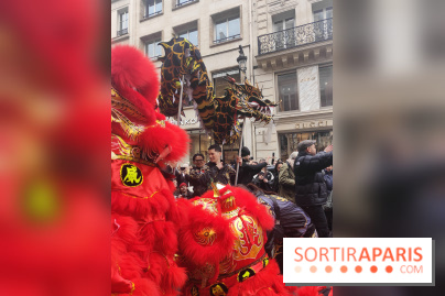 Défilé du Nouvel An Lunaire-Chinois Faubourg Saint-Honoré  - IMG20250205125902