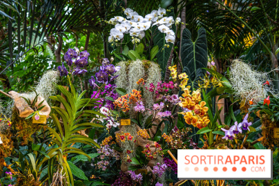 Mille et une orchidées 2025 - les photos