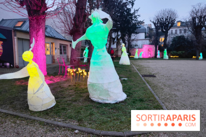 Exposition Silva Lumina au Centre Culturel Irlandais