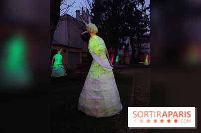 Exposition Silva Lumina au Centre Culturel Irlandais