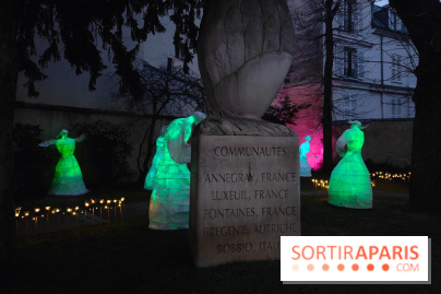Exposition Silva Lumina au Centre Culturel Irlandais
