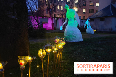 Exposition Silva Lumina au Centre Culturel Irlandais