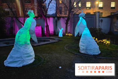 Exposition Silva Lumina au Centre Culturel Irlandais