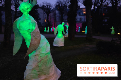 Exposition Silva Lumina au Centre Culturel Irlandais