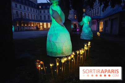 Exposition Silva Lumina au Centre Culturel Irlandais