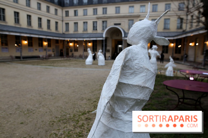 Exposition Silva Lumina au Centre Culturel Irlandais  - Silva Lumina 2 fotor 2025020691851