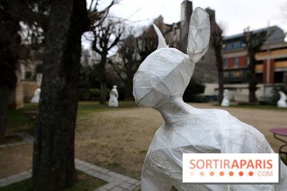 Exposition Silva Lumina au Centre Culturel Irlandais  - Silva Lumina 3 fotor 2025020691928