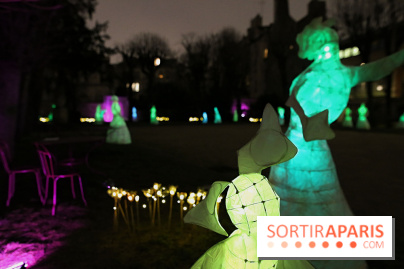 Exposition Silva Lumina au Centre Culturel Irlandais  - Silva Lumina 8 fotor 2025020691539