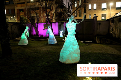 Exposition Silva Lumina au Centre Culturel Irlandais  - Silva Lumina 11