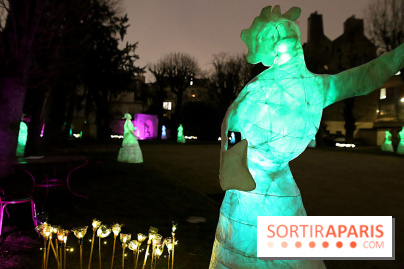 Exposition Silva Lumina au Centre Culturel Irlandais  - Silva Lumina 14 fotor 202502069205