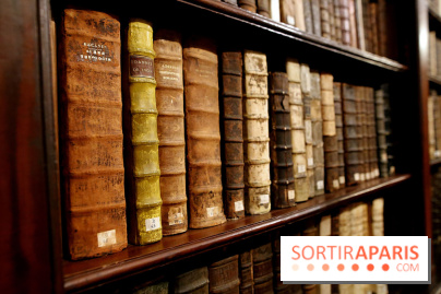 Centre Culturel Irlandais et sa bibliothèque  - IMG 7626 fotor 20250210172623