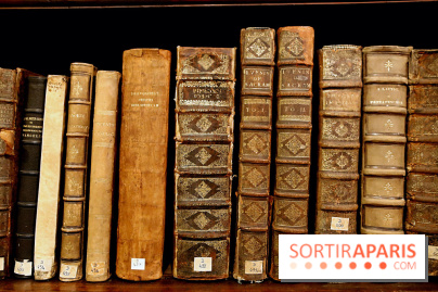 Centre Culturel Irlandais et sa bibliothèque  - IMG 7630 fotor 20250210172113