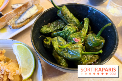 Buenas - Pimientos de padron