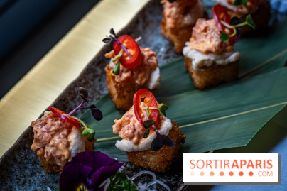 Hokusai - restaurant japonais fusion - Paris 16e - les photos  -  Crujiente de thon epicé: