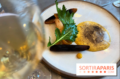 Frenchie - Salsifis, kumquat, sabayon vin jaune