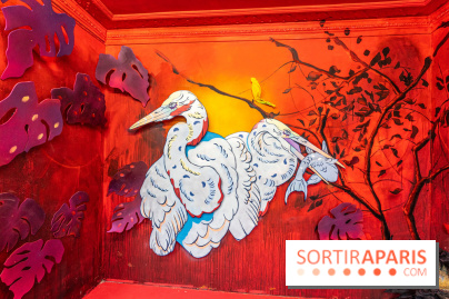 Colors Festival 2025 à Champigny spécial Amérique Latine -  A7C1229