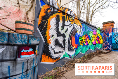 Colors Festival 2025 à Champigny spécial Amérique Latine -  A7C1286