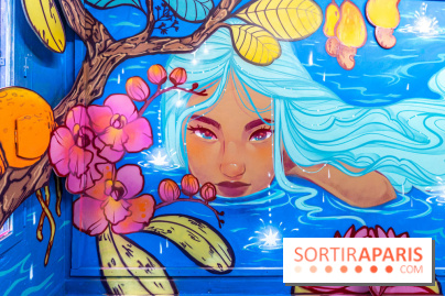 Colors Festival 2025 à Champigny spécial Amérique Latine -  A7C1201