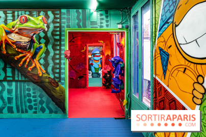 Colors Festival 2025 à Champigny spécial Amérique Latine -  A7C1226