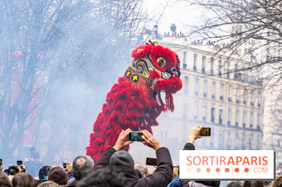 Défilé du Nouvel an Lunaire - Chinois 2025 Paris 13e - les photos