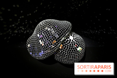 Exposition Disco à la Philharmonie de Paris, nos photos - Expo Disco 16