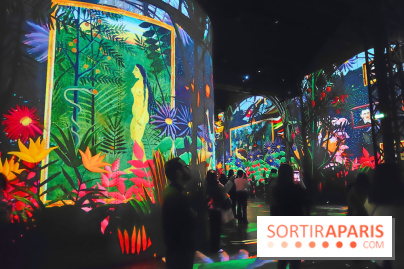 Le Douanier Rousseau, au pays des rêves : l'exposition immersive de l'Atelier des Lumières - photos - fotor 1739448458238