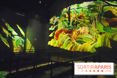 Le Douanier Rousseau, au pays des rêves : l'exposition immersive de l'Atelier des Lumières - photos