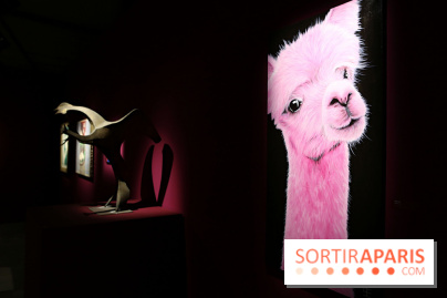 Trésors de Banlieues 2025, nos photos - Trésors Banlieues 8 fotor 202502149849