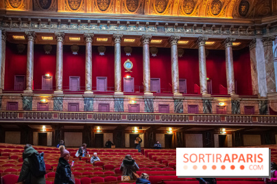 Le Château de Versailles : ouverture de plusieurs salles sur la IIIe République - DSC 2214